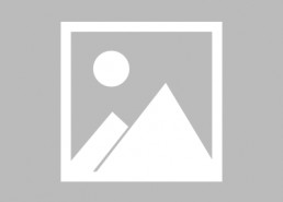 吃瓜娱乐圈狐狸是谁啊百度云,是谁在背后吃瓜热议？