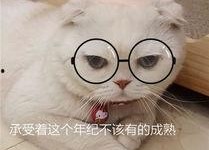 刘二豆与娱乐吃瓜君,揭秘娱乐圈背后的故事